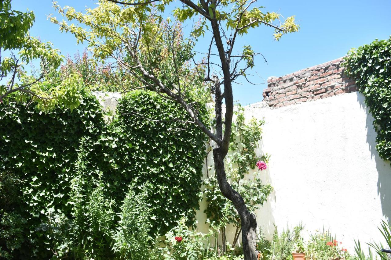 Del Alto-Viviendas Turisticas ซาปาลา ภายนอก รูปภาพ
